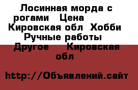 Лосинная морда с рогами › Цена ­ 8 500 - Кировская обл. Хобби. Ручные работы » Другое   . Кировская обл.